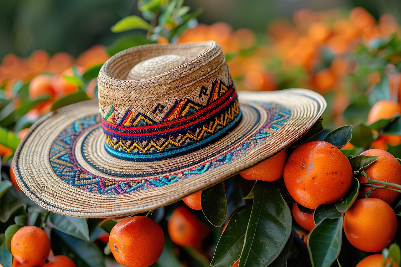 https://pixabay.com/users/15508150